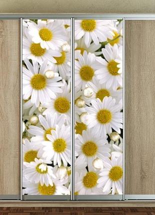 Наклейка для шкафа-купе 220 х 60 см на 2  двери ромашки (бп_а_fl11015)