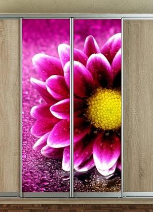 Наклейка на шкаф-купе 220 х 60 см на 2 двери цветок (бп_а_fl102553)