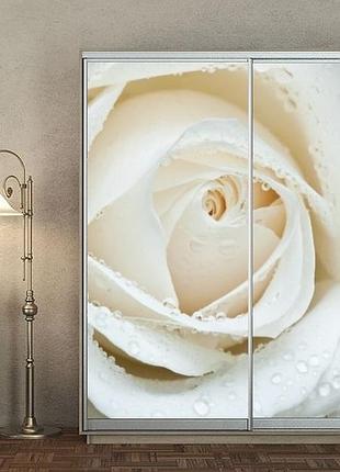 Наклейка на шкаф-купе 220 х 102 см на 2 двери белая роза (бп_а_fl12787)