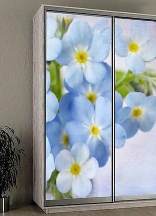 Наклейка на шкаф-купе 220 х 74 см на 2 двери незабудки (бп_а_fl13541)