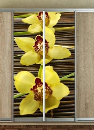 Наклейка на шкаф-купе 220 х 60 см на 2 двери желтые орхидеи (бп_а_fl102168)