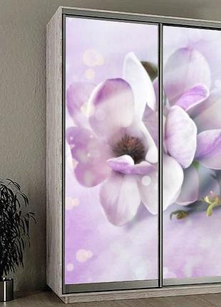 Наклейка на шкаф-купе 220 х 74 см на 2 двери магнолия (бп_а_fl13592)