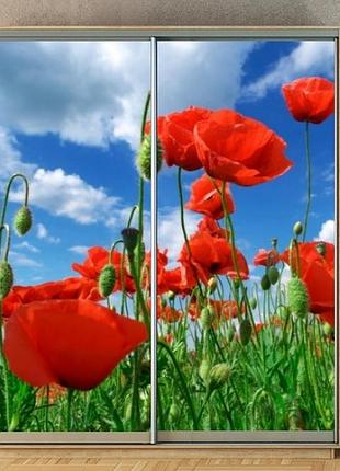 Наклейка на шкаф-купе 220 х 102 см на 2 двери маки (бп_а_fl102552)