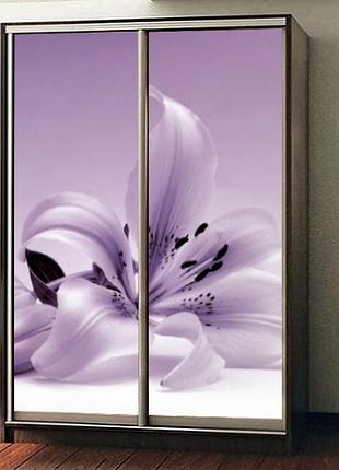 Наклейка на шкаф-купе 220 х 74 см на 2 двери лилия (бп_а_fl13753)