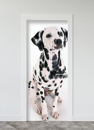 Виниловая наклейка на двери (самоклеющаяся ламинированная пленка) 200 х 65 см