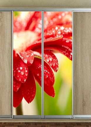 Наклейка для шкафа-купе 220 х 60 см на 2  двери  цветок с каплями (бп_а_fl10610)