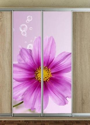 Наклейка для шкафа-купе 220 х 60 см на 2  двери  сиреневый цветок (бп_а_fl12043)