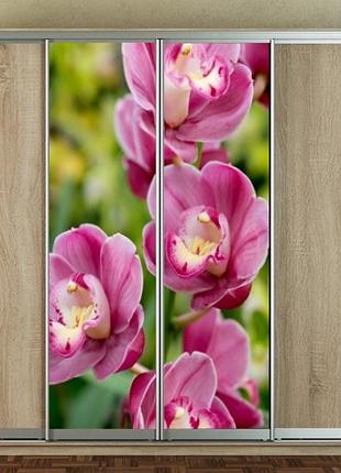 Наклейка для шкафа-купе 220 х 60 см на 2  двери  розовые орхидеи (бп_а_fl11560)