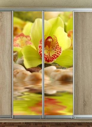 Наклейка для шкафа-купе 220 х 60 см на 2  двери  салатовая орхидея (бп_а_fl12455)