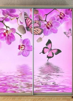 Наклейка на шкаф-купе 220 х 102 см на 2 двери орхидеи (бп_а_fl12687)