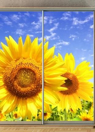 Наклейка на шкаф-купе 220 х 102 см на 2 двери подсолнухи (бп_а_fl13746)