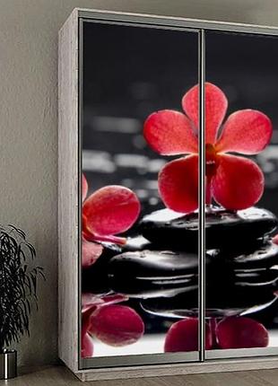 Наклейка на шкаф-купе 220 х 74 см на 2 двери красные орхидеи (бп_а_fl12683)