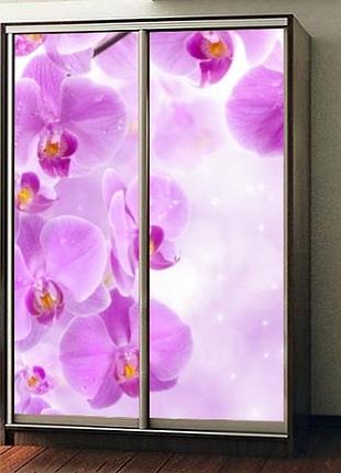 Наклейка на шкаф-купе 220 х 74 см на 2 двери орхидеи (бп_а_fl12768)