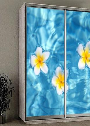 Наклейка на шкаф-купе 220 х 74 см на 2 двери плюмерия (бп_а_fl12957)