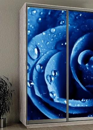 Наклейка на шкаф-купе 220 х 74 см на 2 двери роза (бп_а_fl13708)