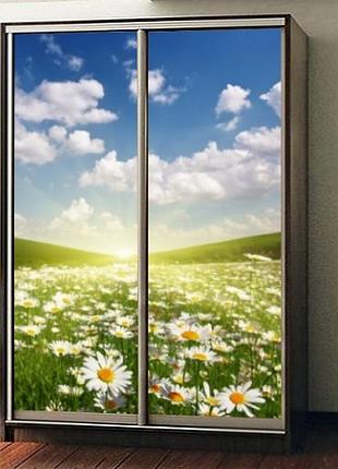 Наклейка на шкаф-купе 220 х 74 см на 2 двери ромашки (бп_а_fl101010)