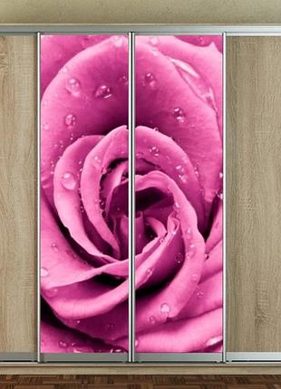 Наклейка на шкаф-купе 220 х 60 см на 2 двери цветы (бп_а_fl101526)