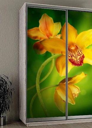 Наклейка на шкаф-купе 220 х 74 см на 2 двери орхидея (бп_а_fl12503)