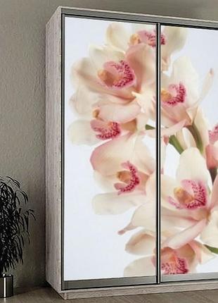 Наклейка на шкаф-купе 220 х 74 см на 2 двери орхидеи (бп_а_fl11768)