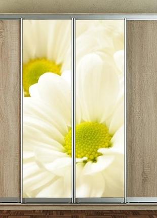 Наклейка на шкаф-купе 220 х 60 см на 2 двери ромашки (бп_а_fl13405)