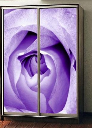 Наклейка на шкаф-купе 220 х 74 см на 2 двери роза (бп_а_fl13103)