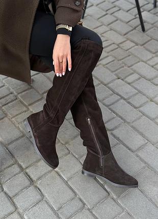 Високі чоботи