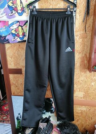 Брюки с лампасами эластан