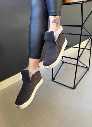 Жіночі сліпони натуральна замша сірі