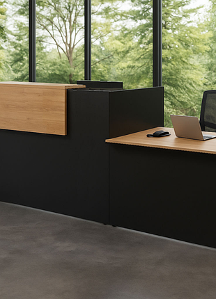 Ресепшен стойкая ресепшн для администратора рецепция