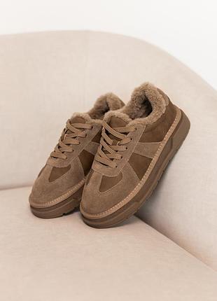 Кеди жіночі зимові замшеві на хутрі бежеві 593467