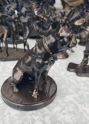 Французский бульдог 2