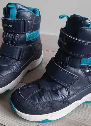 Универсальные сапоги geox