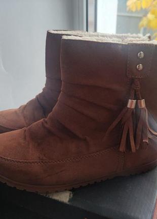 Сапоги primark