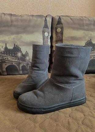 Жіночі замшеві черевики, схожі на уггі