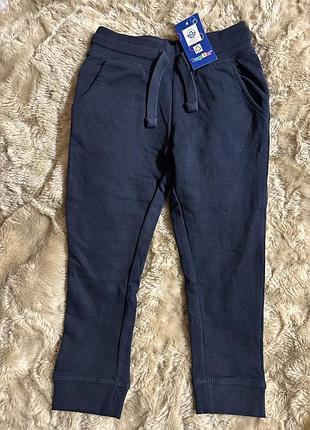 Утеплені штани lupilu