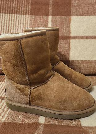 Женские угги ugg