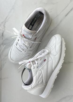 Кросівки reebok classic