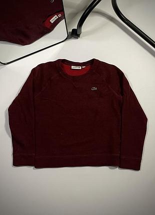 Thremo lacoste sweatshirt термо кофта