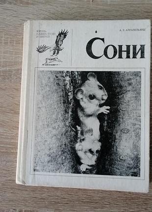А.э. айрапетьянц. сони. лениградский университет 1983