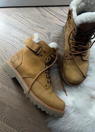 Стильні зимові черевики ugg кольору camel