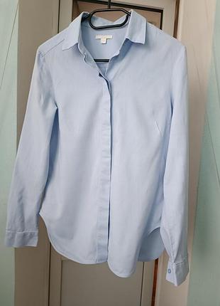 Хлопковая рубашка cos бледно- голубого цвета р.36