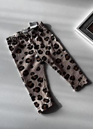 Лосини h&m 6-9 місяців, лосіни 6-9 місяців, леопардові лосини на дівчинку