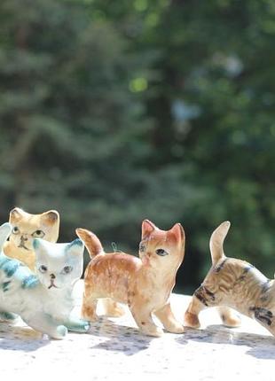 Котики разноцветные 3