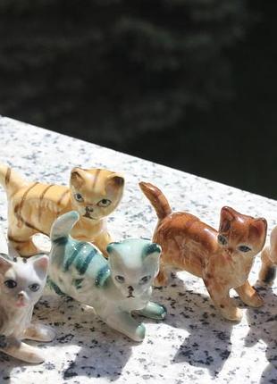 Котики разноцветные 9