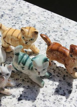 Котики разноцветные 4