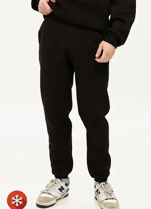 Мужские спортивные штаны с утеплителем флис