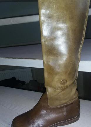 Shabbies amsterdam classic- стильні шкіряні демісезонні чоботи р. 38 1/2 - 25см