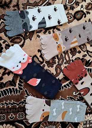 Дитячі шкарпетки тваринки з окремими пальцями 16,5-18,5 см