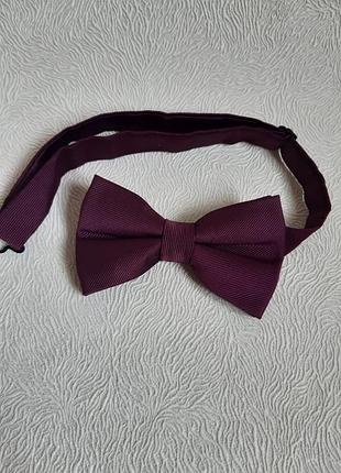 Метелик бабочка