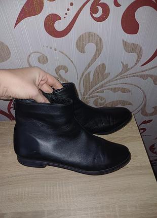 Демісізонні черевички